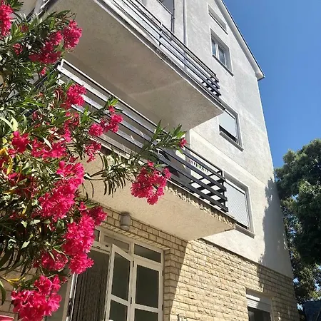 Apartment Katica *
